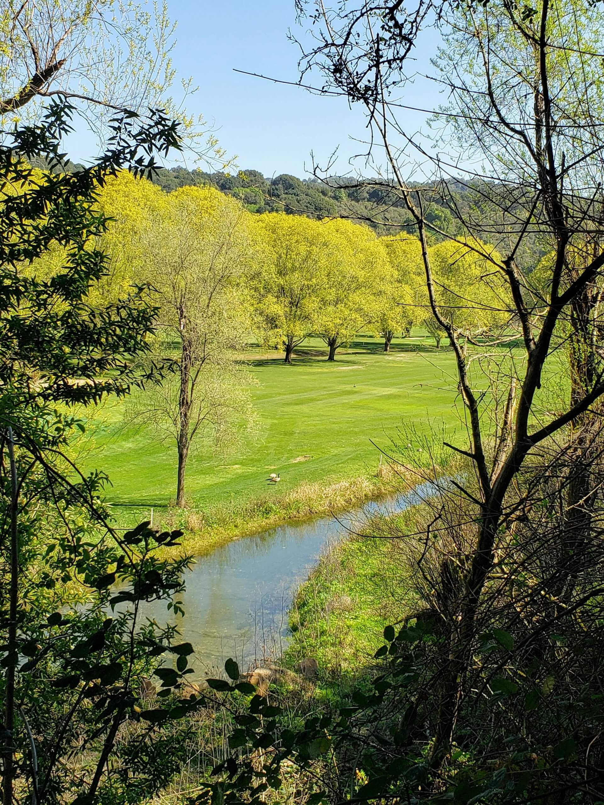The Lakes Course image
